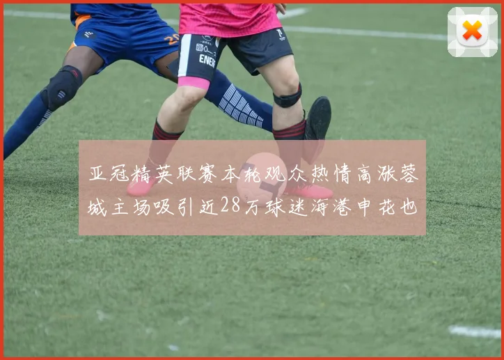 亚冠精英联赛本轮观众热情高涨蓉城主场吸引近28万球迷海港申花也超万人到场