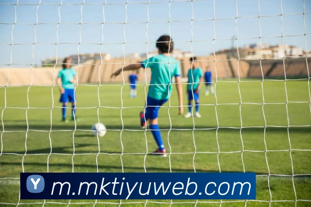 MK体育服务体系